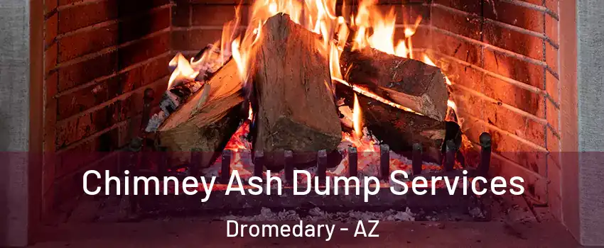 Chimney Ash Dump Services Dromedary - AZ
