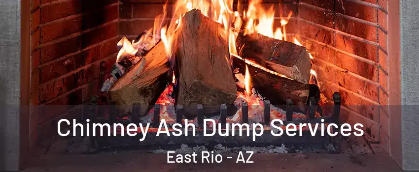 Chimney Ash Dump Services East Rio - AZ