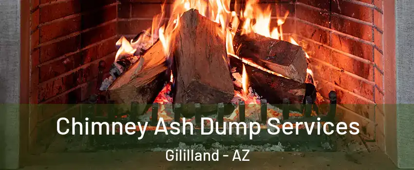 Chimney Ash Dump Services Gililland - AZ