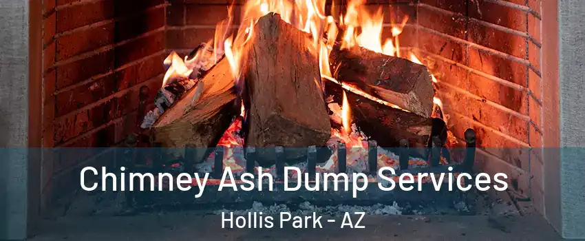 Chimney Ash Dump Services Hollis Park - AZ