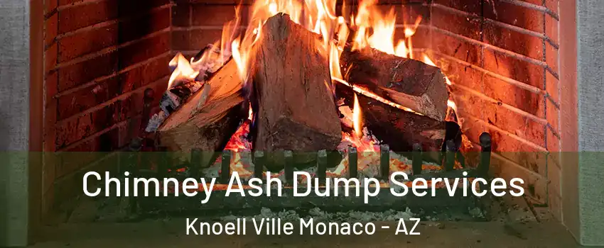 Chimney Ash Dump Services Knoell Ville Monaco - AZ