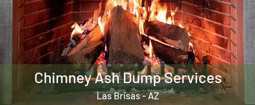 Chimney Ash Dump Services Las Brisas - AZ