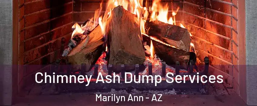 Chimney Ash Dump Services Marilyn Ann - AZ