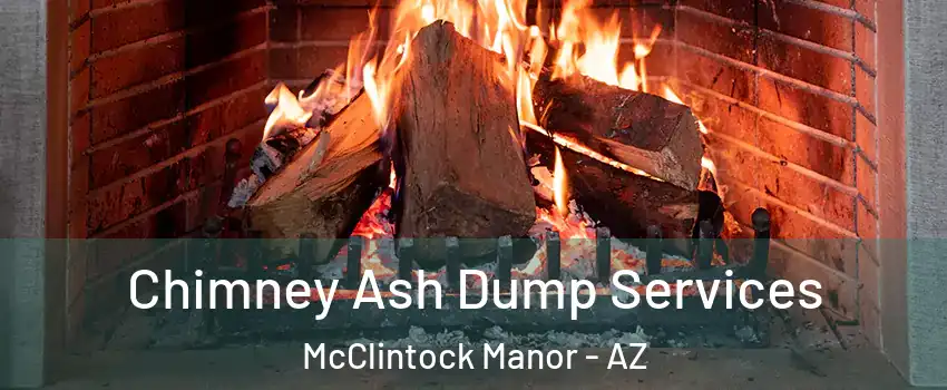 Chimney Ash Dump Services McClintock Manor - AZ