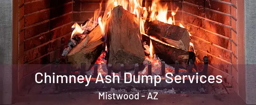 Chimney Ash Dump Services Mistwood - AZ