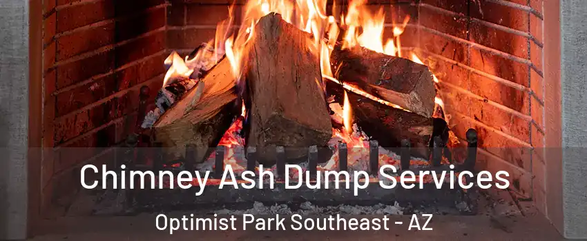 Chimney Ash Dump Services Optimist Park Southeast - AZ