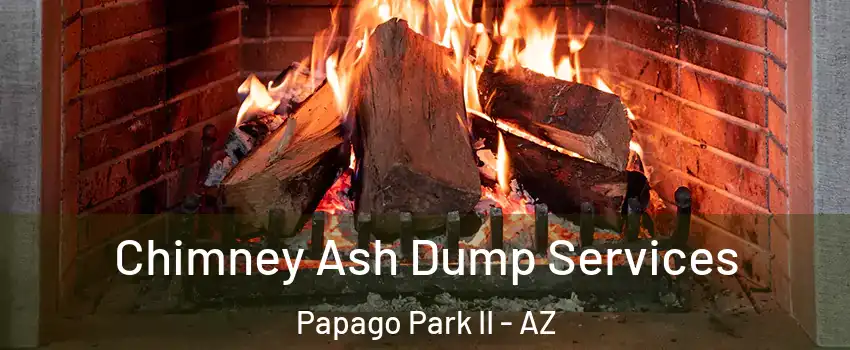 Chimney Ash Dump Services Papago Park II - AZ