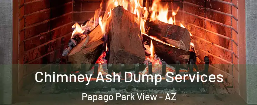 Chimney Ash Dump Services Papago Park View - AZ