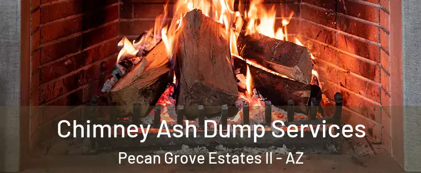 Chimney Ash Dump Services Pecan Grove Estates II - AZ