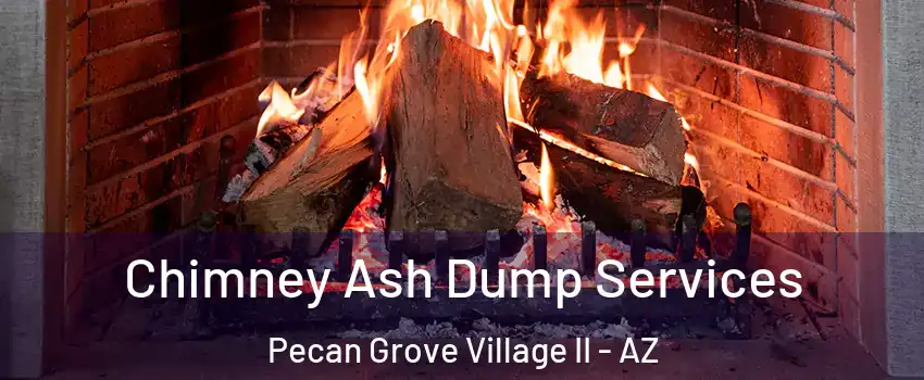 Chimney Ash Dump Services Pecan Grove Village II - AZ