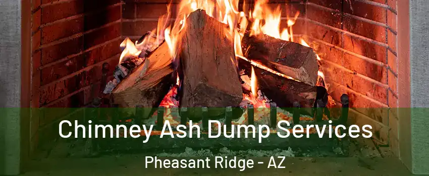 Chimney Ash Dump Services Pheasant Ridge - AZ