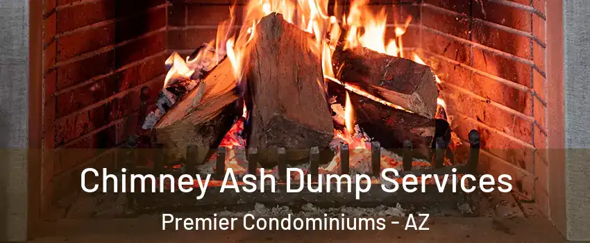 Chimney Ash Dump Services Premier Condominiums - AZ