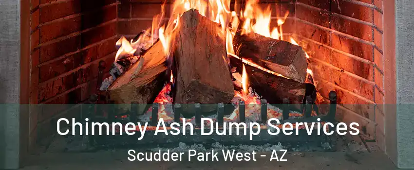 Chimney Ash Dump Services Scudder Park West - AZ