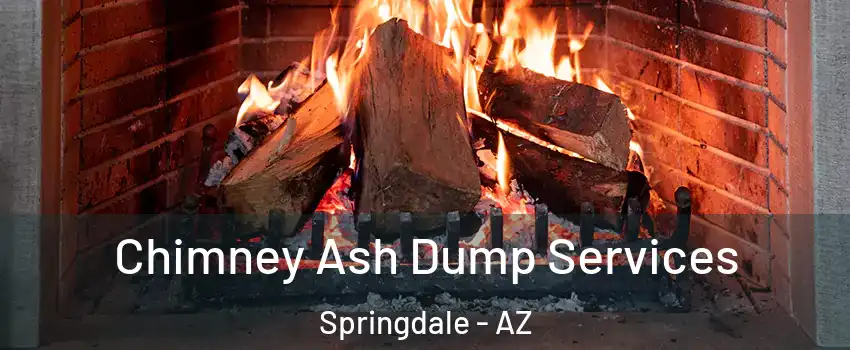Chimney Ash Dump Services Springdale - AZ