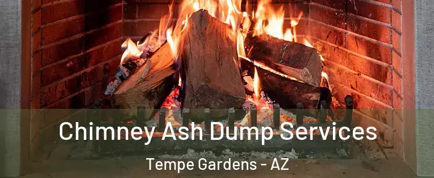 Chimney Ash Dump Services Tempe Gardens - AZ