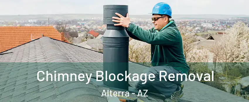 Chimney Blockage Removal Alterra - AZ
