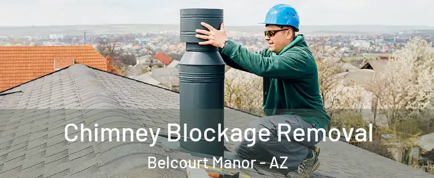 Chimney Blockage Removal Belcourt Manor - AZ