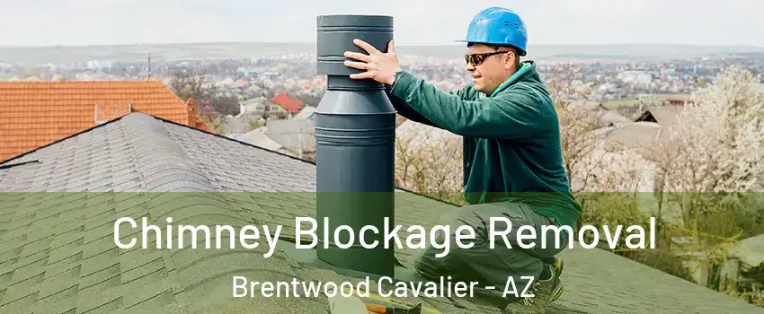 Chimney Blockage Removal Brentwood Cavalier - AZ