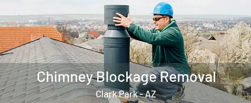Chimney Blockage Removal Clark Park - AZ