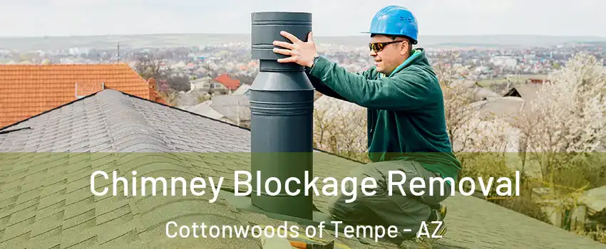 Chimney Blockage Removal Cottonwoods of Tempe - AZ