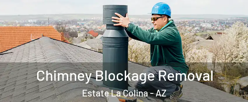 Chimney Blockage Removal Estate La Colina - AZ
