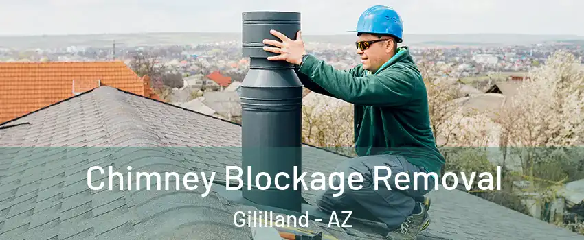 Chimney Blockage Removal Gililland - AZ