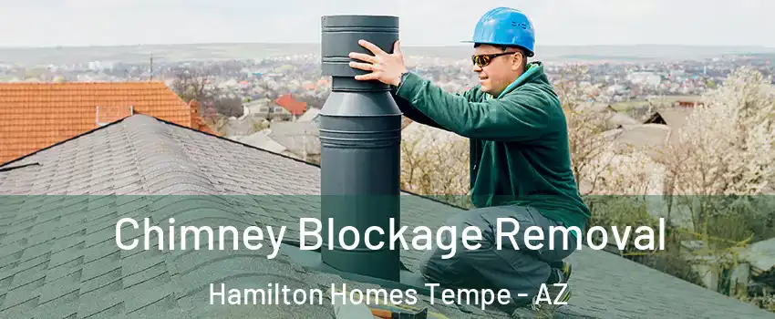Chimney Blockage Removal Hamilton Homes Tempe - AZ