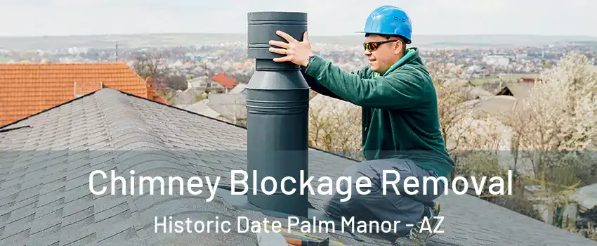 Chimney Blockage Removal Historic Date Palm Manor - AZ