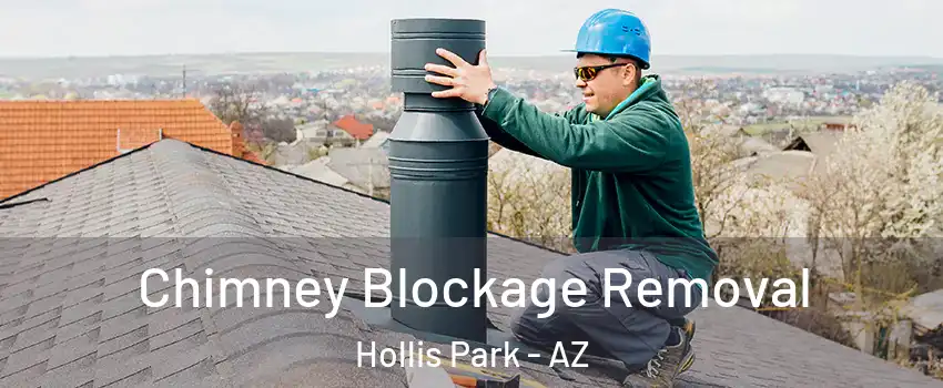 Chimney Blockage Removal Hollis Park - AZ