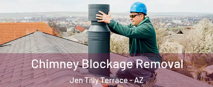 Chimney Blockage Removal Jen Tilly Terrace - AZ