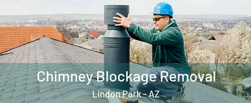 Chimney Blockage Removal Lindon Park - AZ