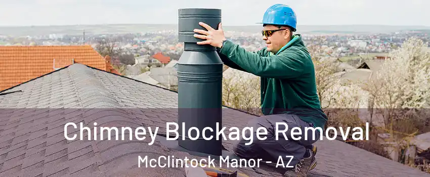 Chimney Blockage Removal McClintock Manor - AZ