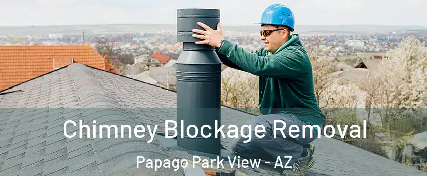 Chimney Blockage Removal Papago Park View - AZ