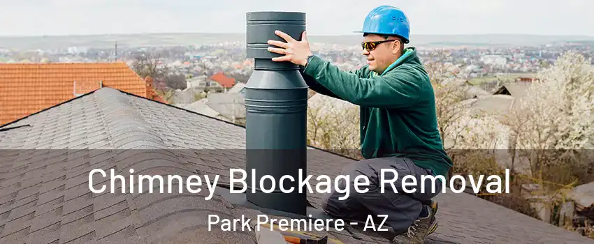 Chimney Blockage Removal Park Premiere - AZ