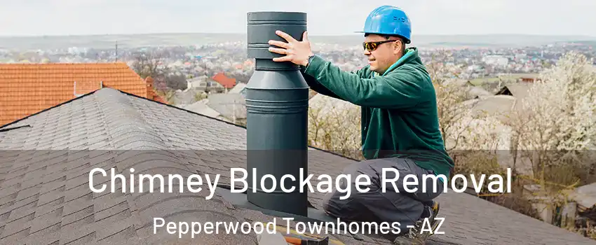 Chimney Blockage Removal Pepperwood Townhomes - AZ