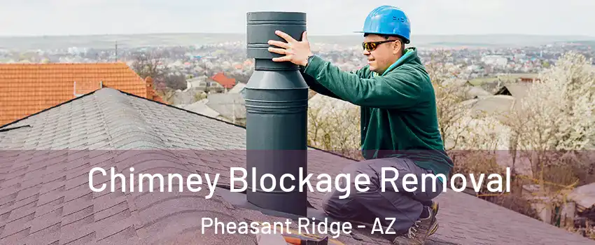 Chimney Blockage Removal Pheasant Ridge - AZ