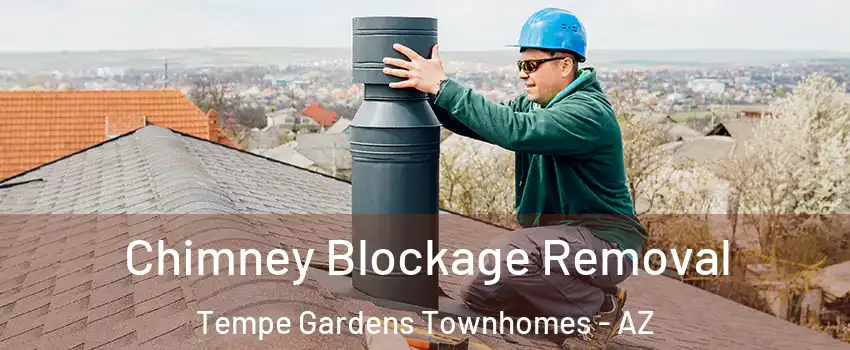 Chimney Blockage Removal Tempe Gardens Townhomes - AZ