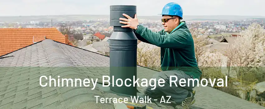 Chimney Blockage Removal Terrace Walk - AZ