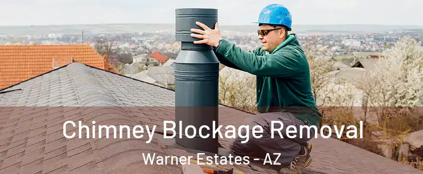 Chimney Blockage Removal Warner Estates - AZ