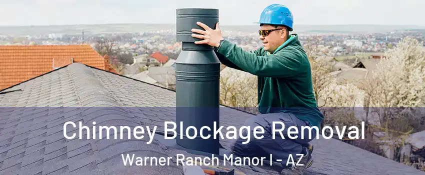 Chimney Blockage Removal Warner Ranch Manor I - AZ