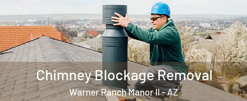 Chimney Blockage Removal Warner Ranch Manor II - AZ