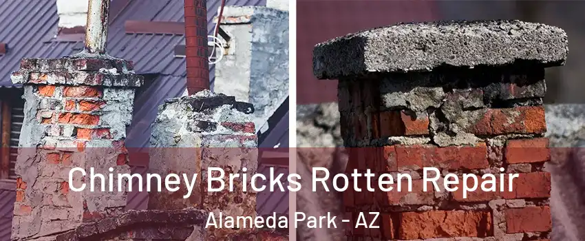 Chimney Bricks Rotten Repair Alameda Park - AZ