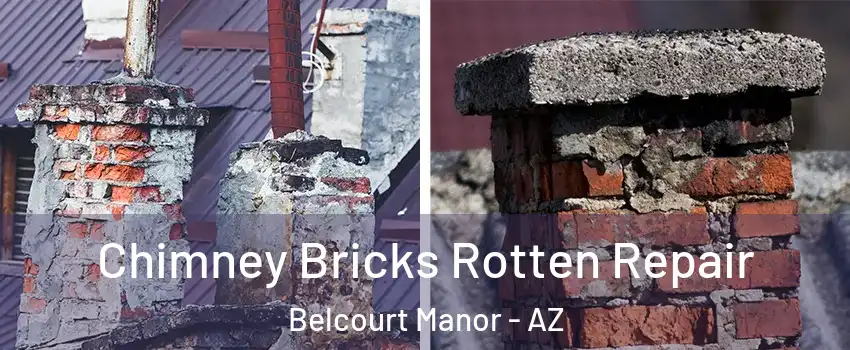 Chimney Bricks Rotten Repair Belcourt Manor - AZ