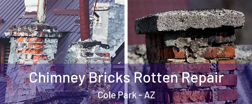 Chimney Bricks Rotten Repair Cole Park - AZ