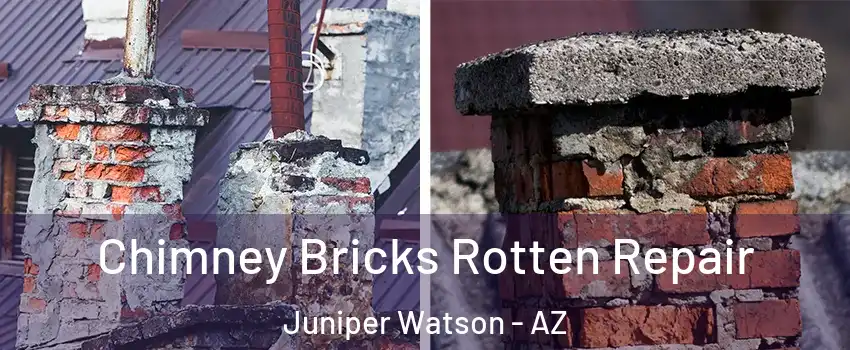 Chimney Bricks Rotten Repair Juniper Watson - AZ