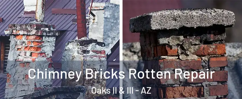 Chimney Bricks Rotten Repair Oaks II & III - AZ