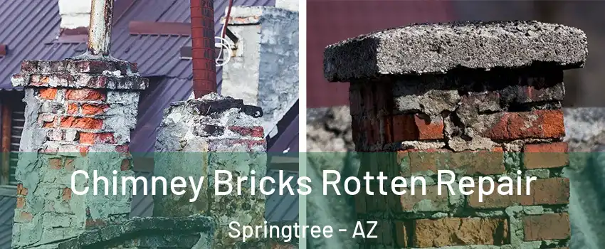 Chimney Bricks Rotten Repair Springtree - AZ