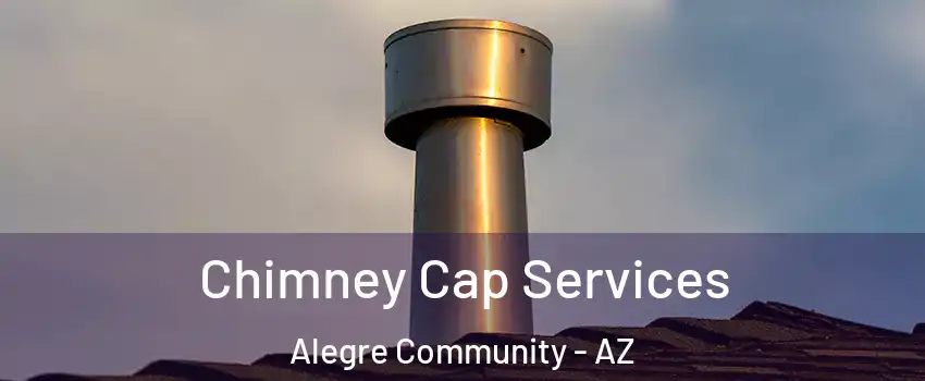 Chimney Cap Services Alegre Community - AZ