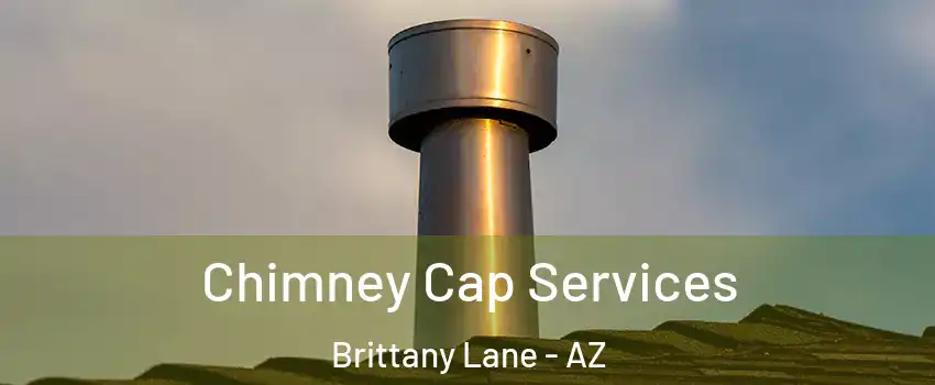 Chimney Cap Services Brittany Lane - AZ