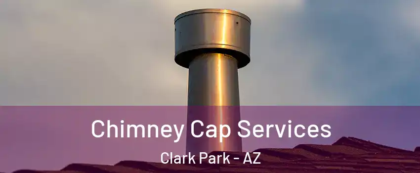 Chimney Cap Services Clark Park - AZ